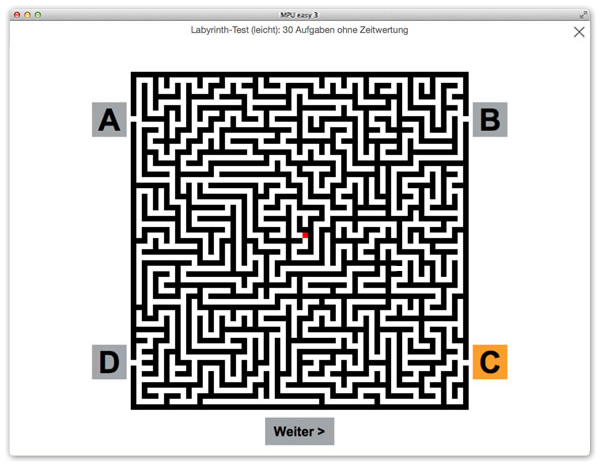 Labyrinth-Test