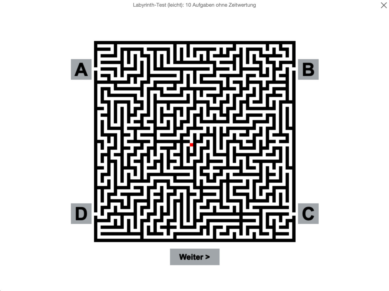 Labyrinth-Test