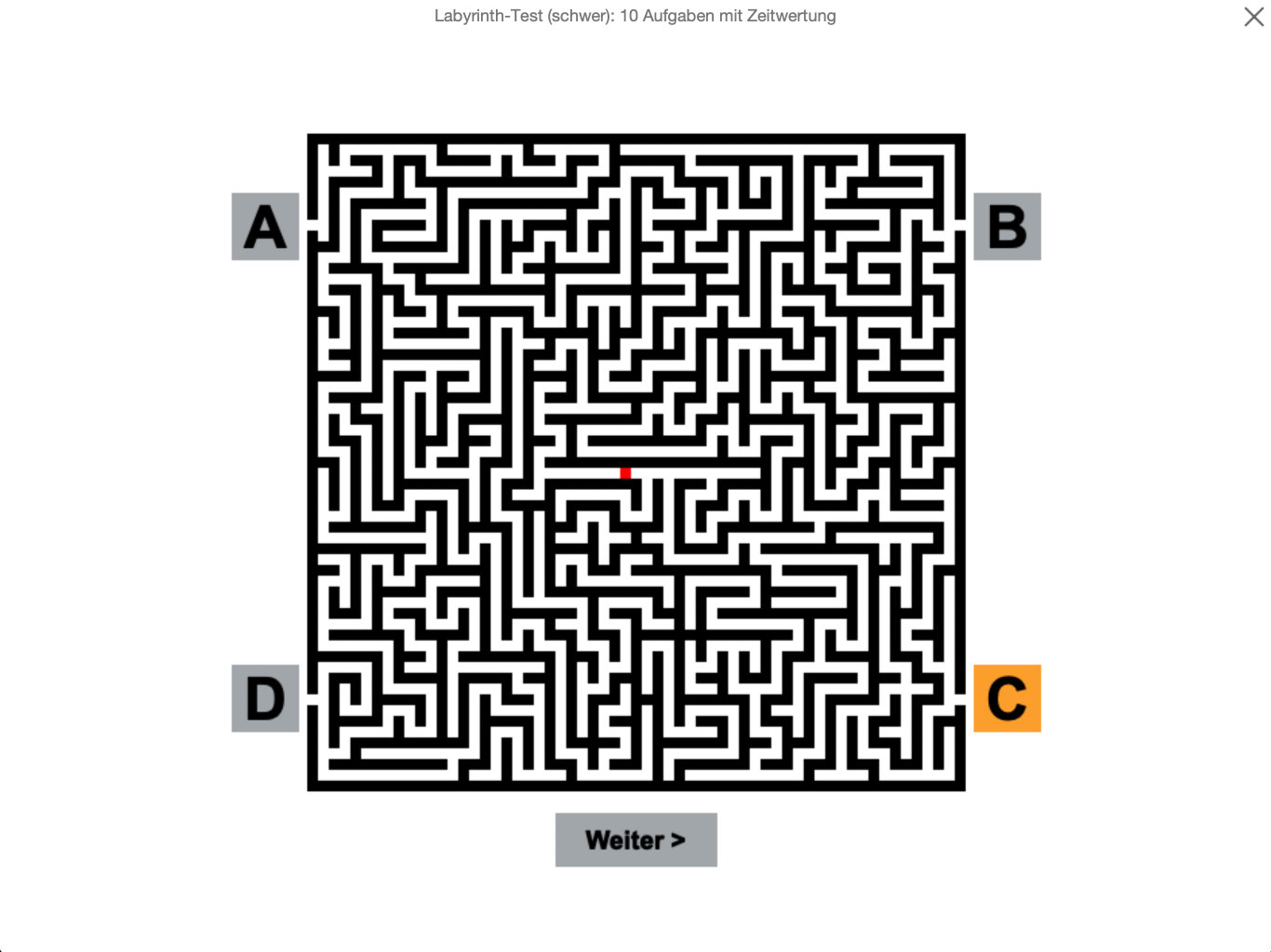 Labyrinth-Test